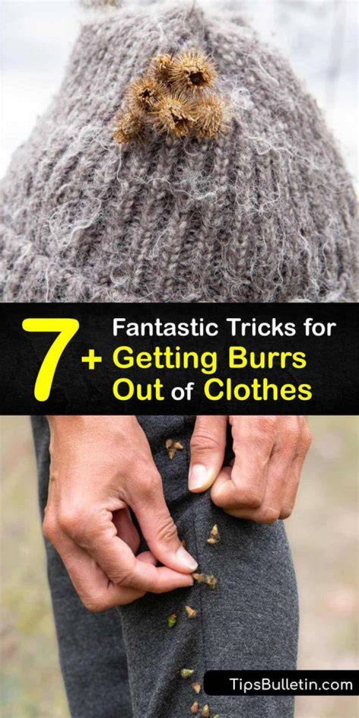 What are burrs on clothes?