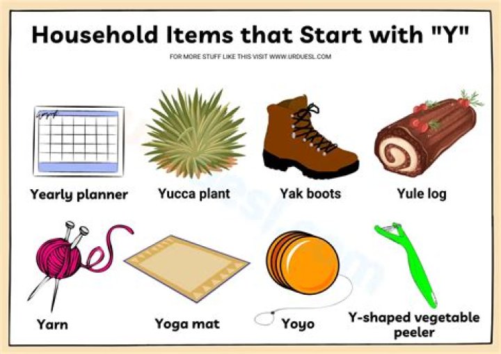What are household items that start with Y?
