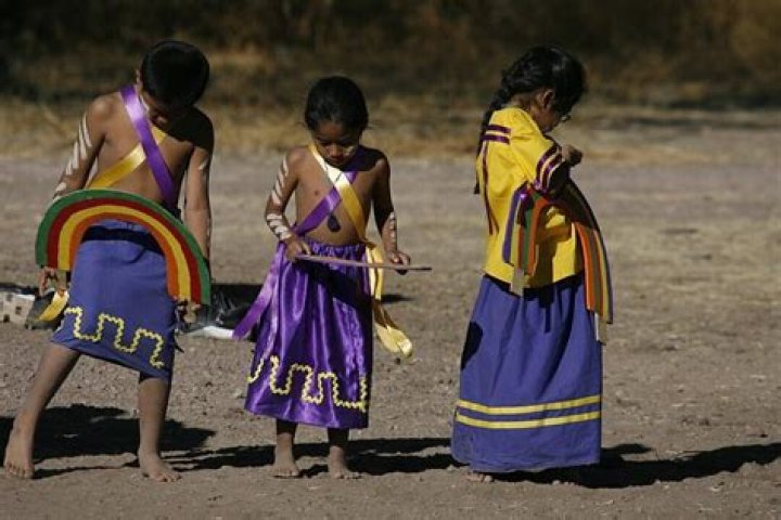 What are some characteristics of the Hohokam tribe?