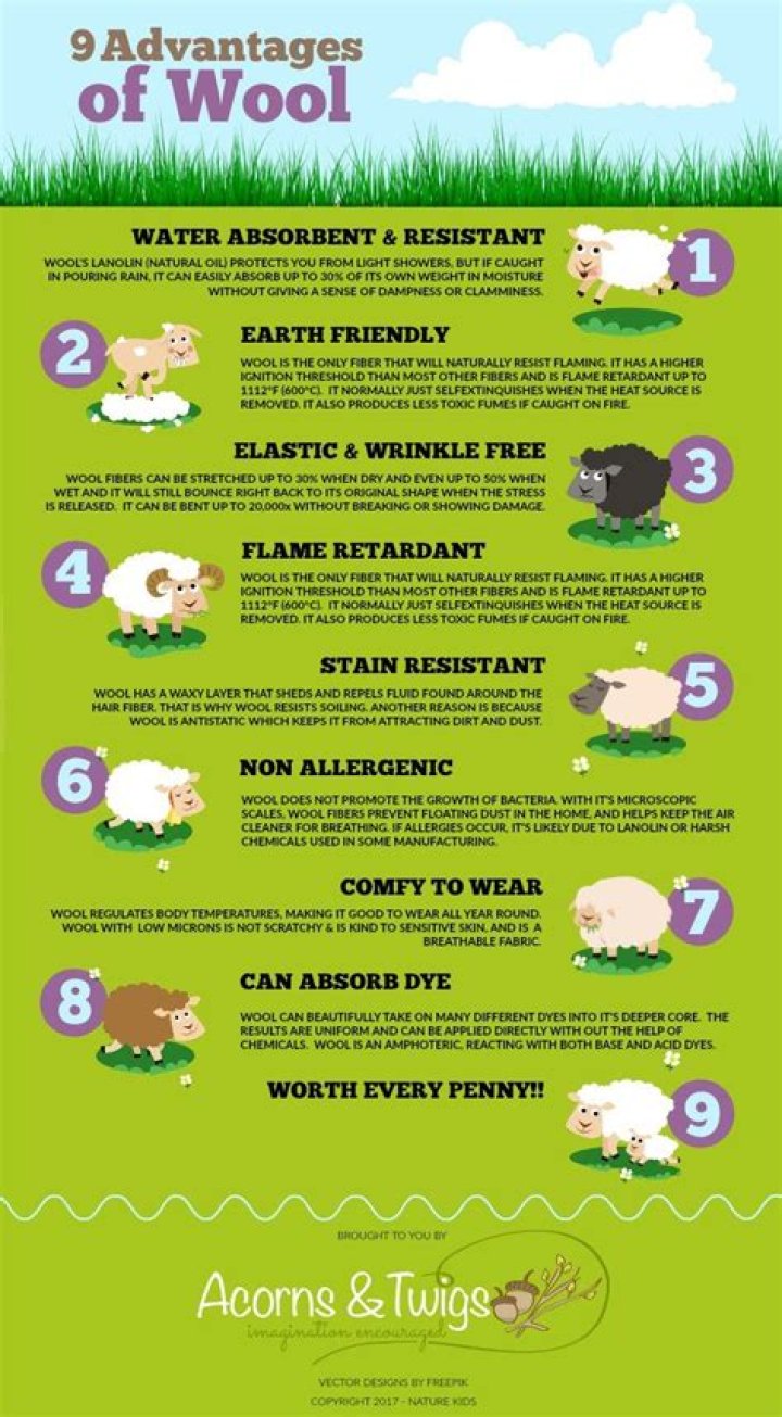 What are the advantages for wool?