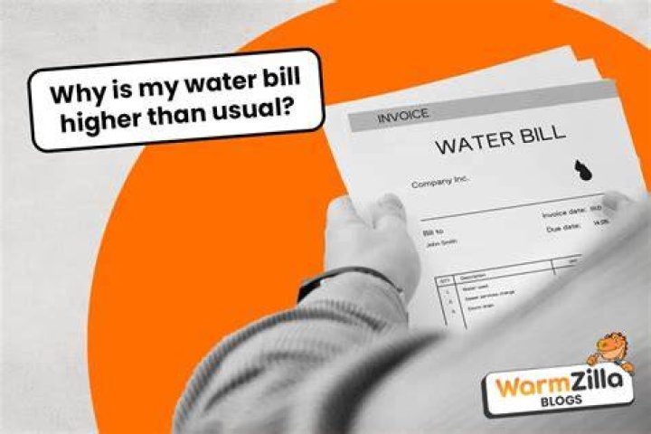 What can cause an unusually high water bill?