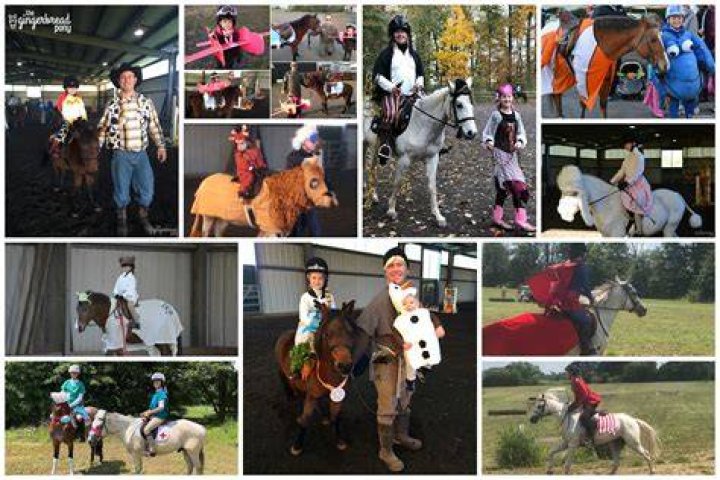 What can I dress up as with my horse?