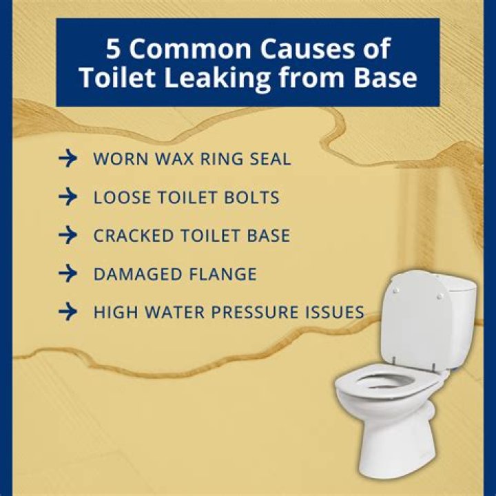 What causes a toilet to leak?