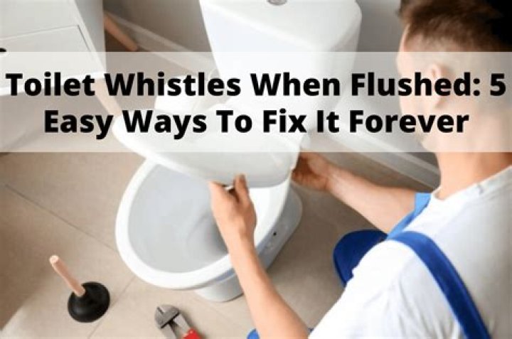 What causes a toilet to squeal when flushed?