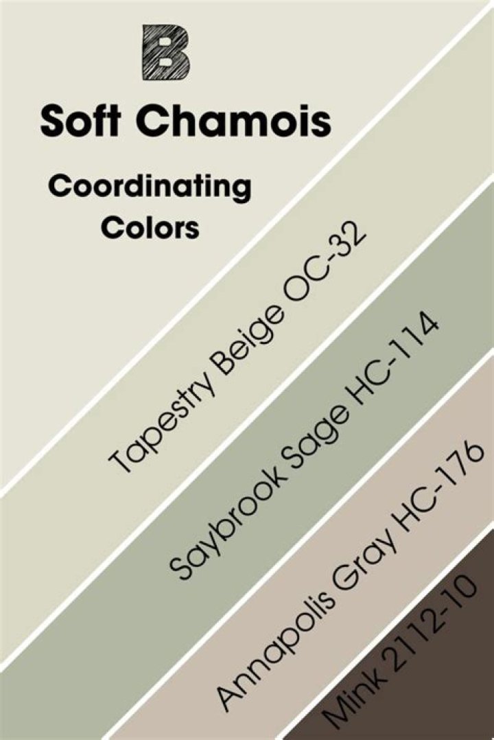 What color goes with chamois?