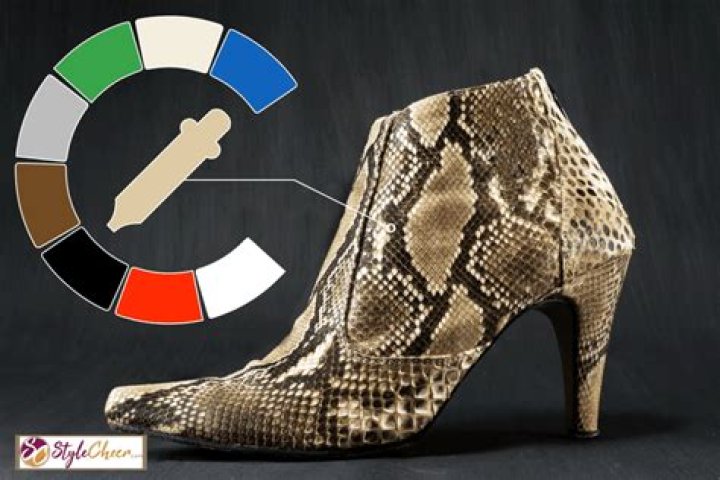 What colors go good with snakeskin shoes?