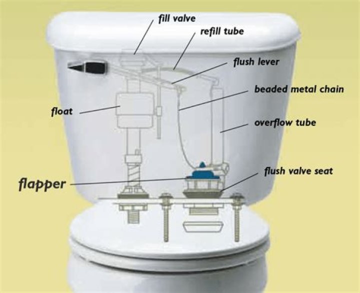 What connects the toilet bowl to the tank?