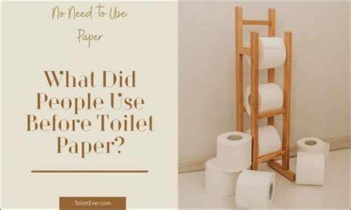 What did people use instead of toilet paper?