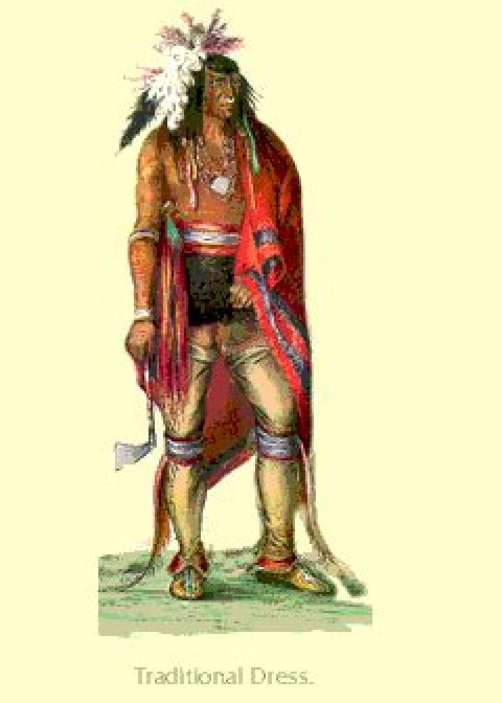 What did the Iroquois wear in the summer?