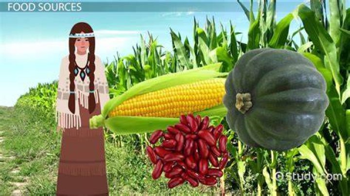 What did the Serrano Indians eat?