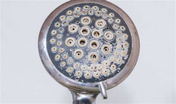 What dissolves calcium in shower heads?