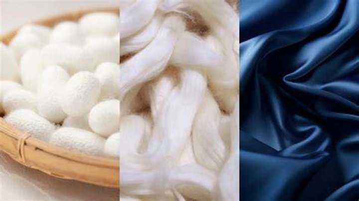 What do wool and silk have in common?