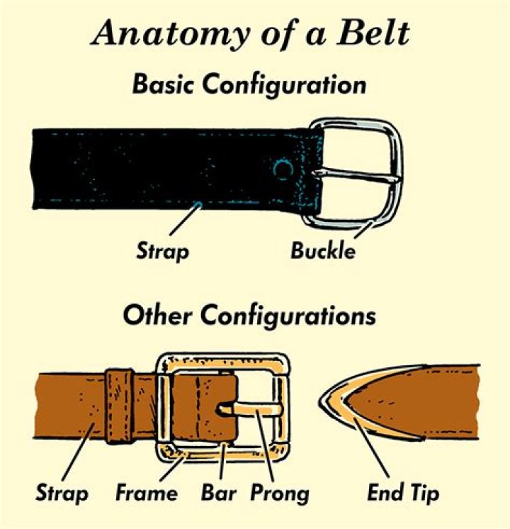What do you call the different parts of a belt?