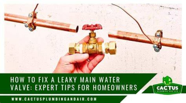 What do you do if your main water valve is leaking?