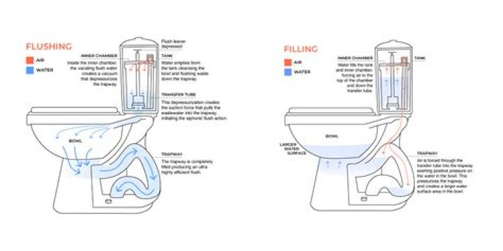 What do you do when your toilet flushes?