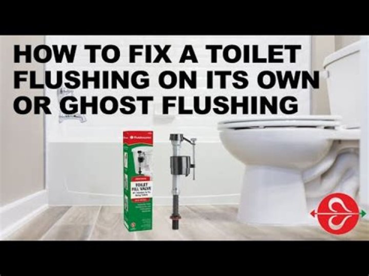 What does it mean when your toilet is Flushing on its own?
