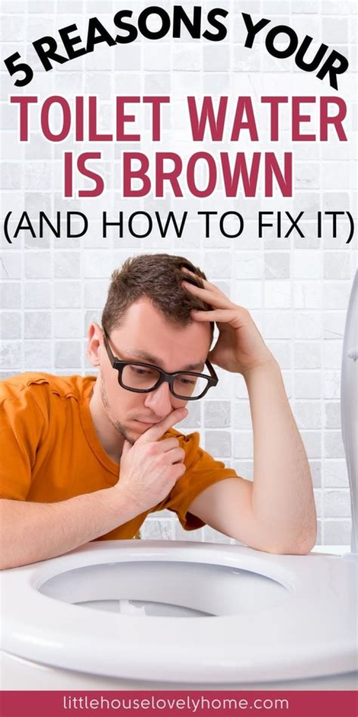 What does it mean when your toilet water is brown?