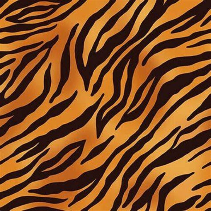 What goes with tiger print?