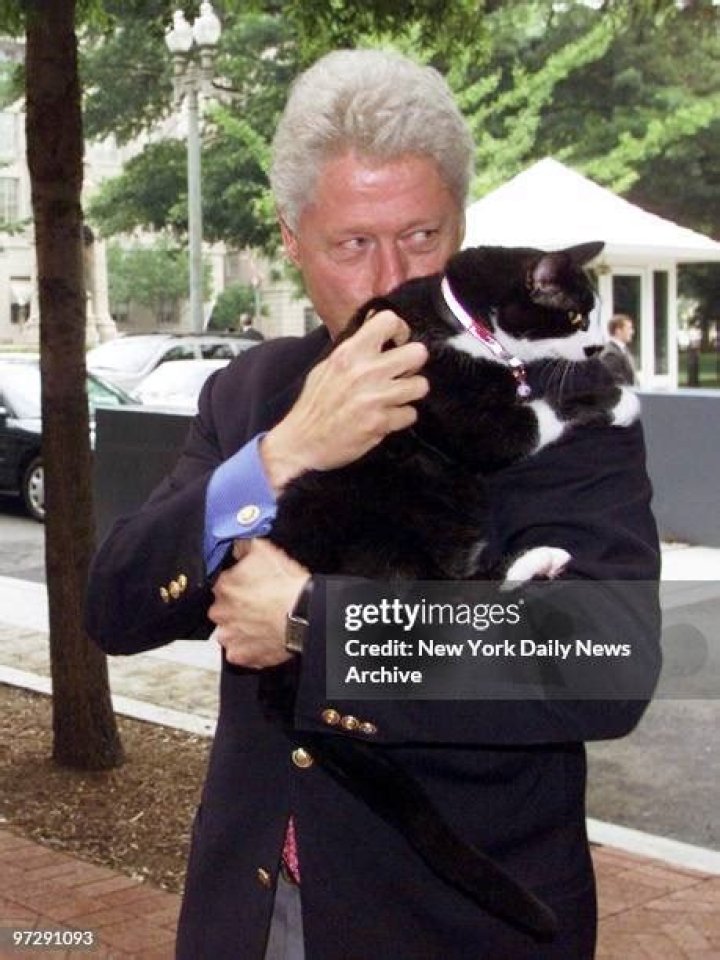 What happened to Clintons cat Socks?