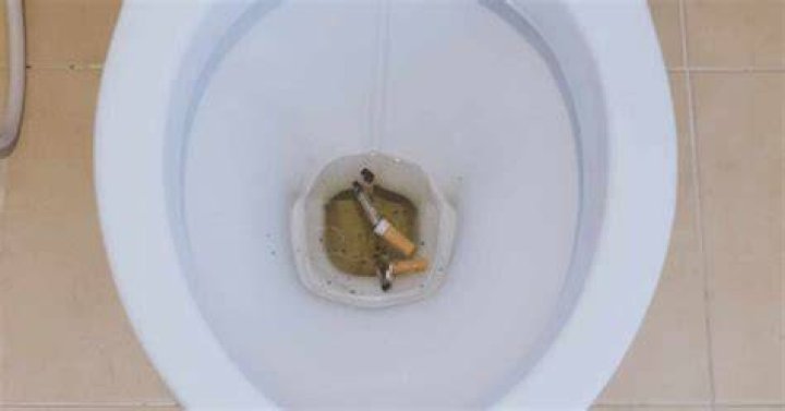 What happens if you flush cigarettes down the toilet?
