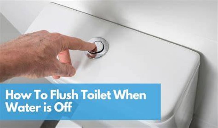 What happens to the water when you flush the toilet?