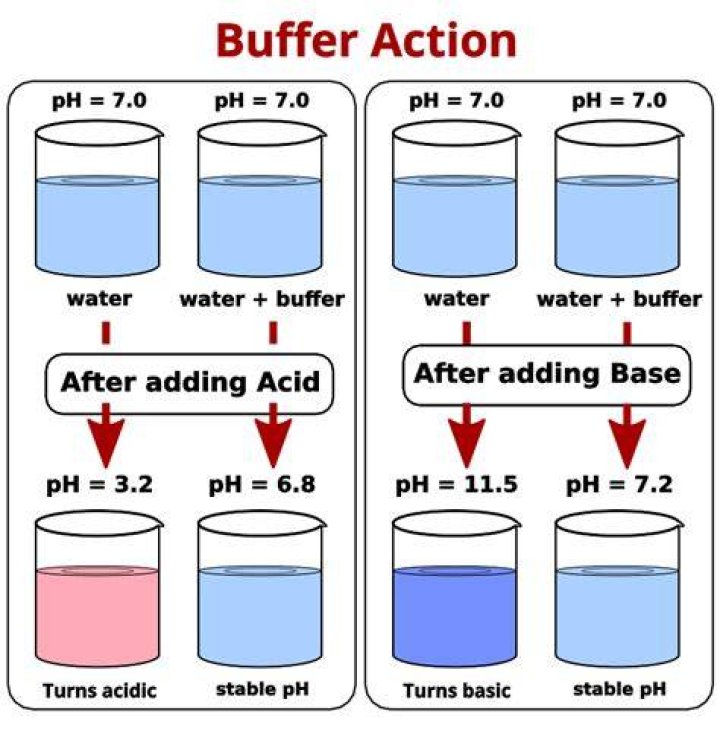 What is a buffer and its function?