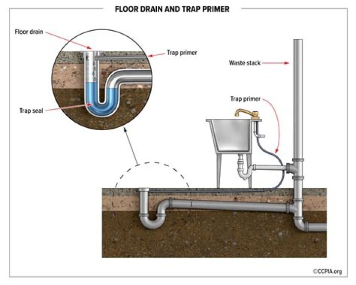 What is a drain primer?