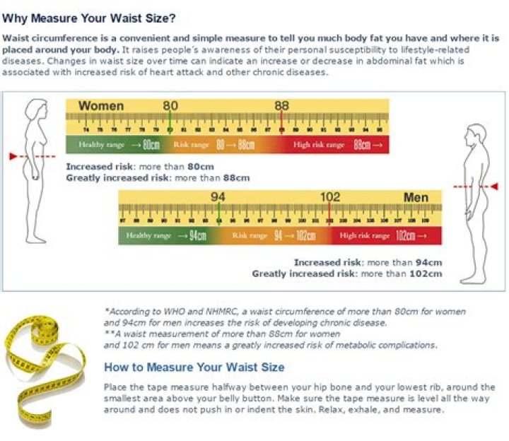 What is a healthy waist size for my weight?