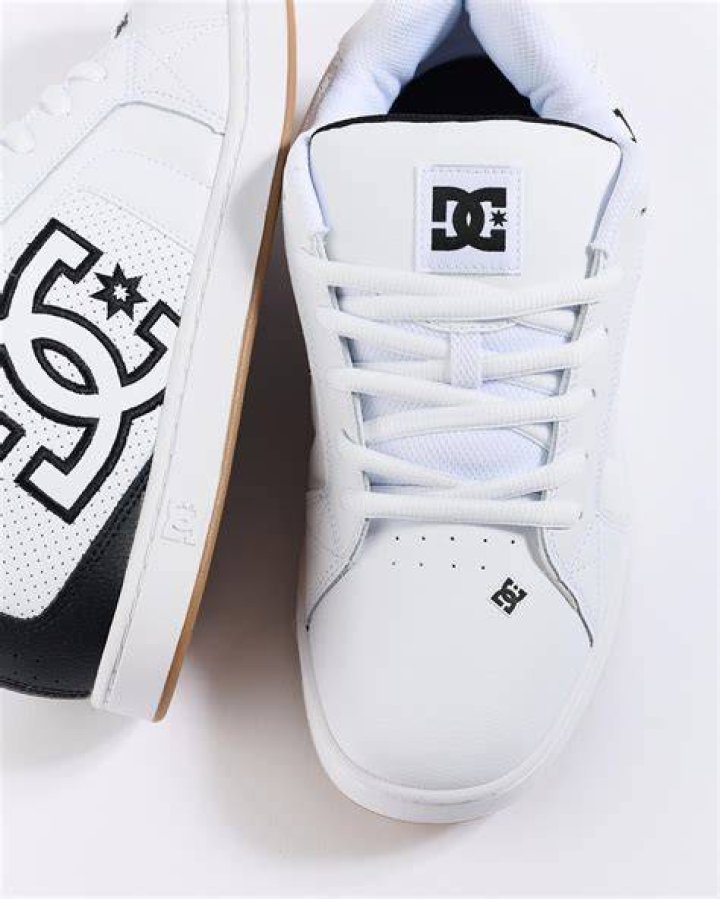 What is DC Shoes net worth?