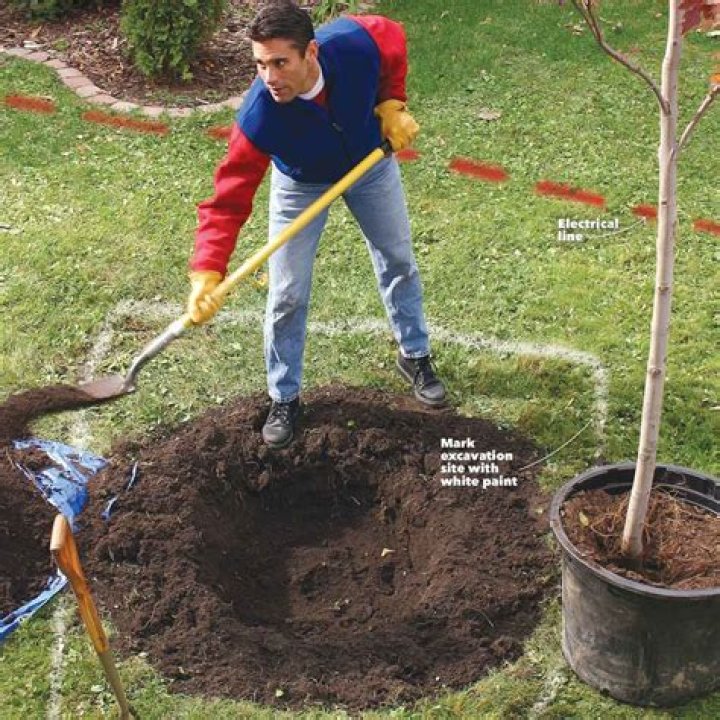 What is digging holes next to my house?