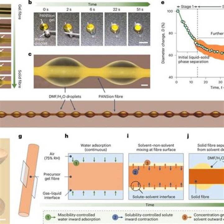 What is fibre formation?