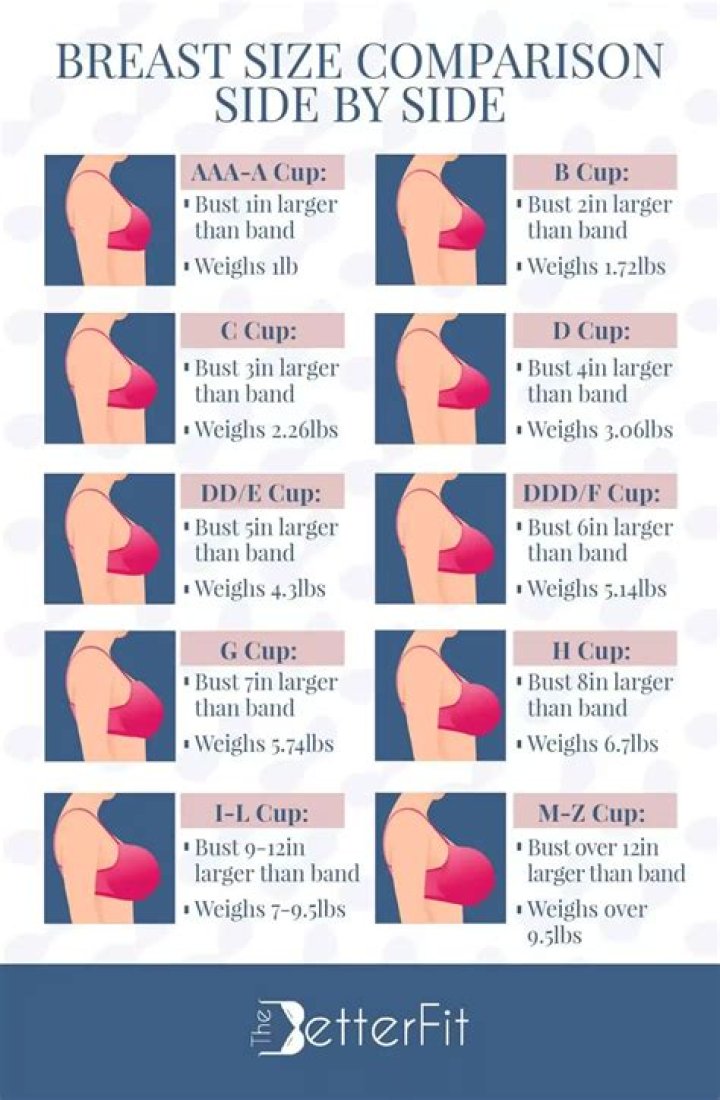 What is the average breast cup size?