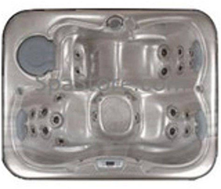 What is the business model of Coleman spas?