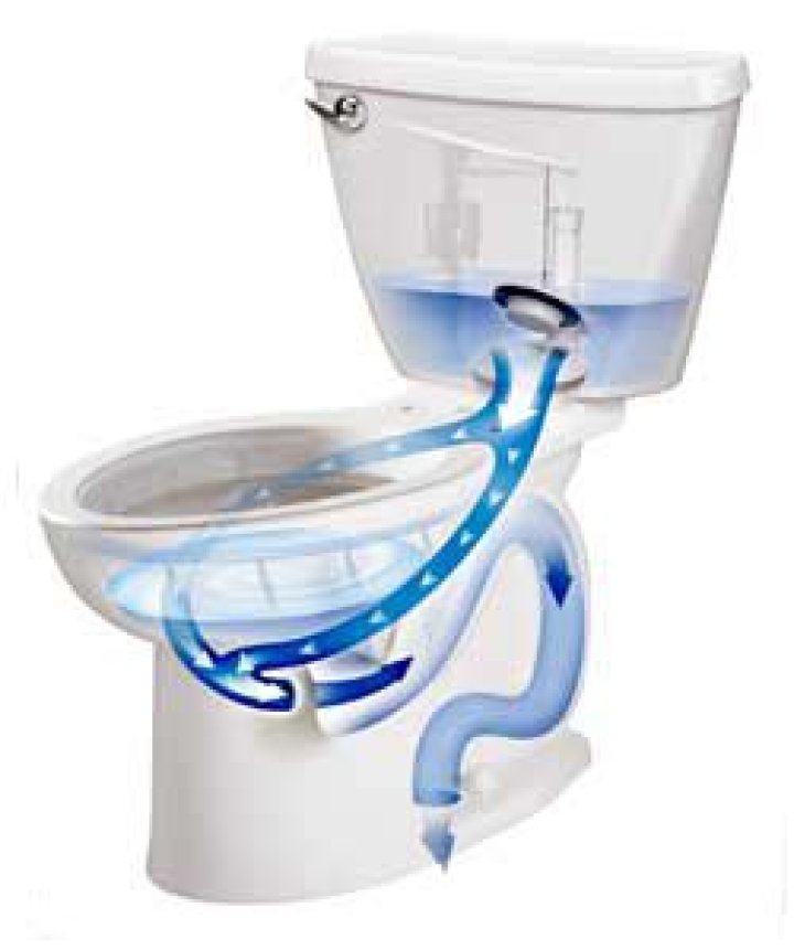 What is the Champion 4 flushing system?