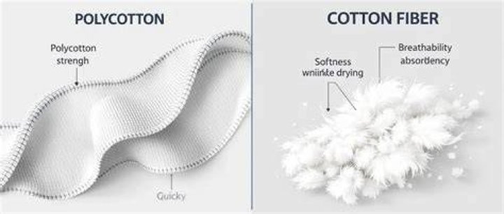 What is the difference between cotton and Algodon?