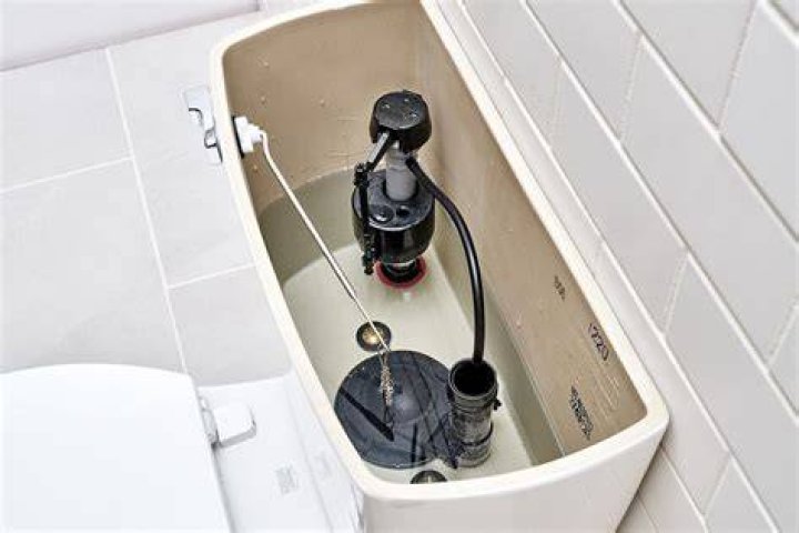 What is the flap in the toilet tank called?