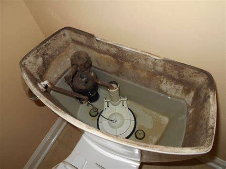 What is the green stuff in my toilet tank?
