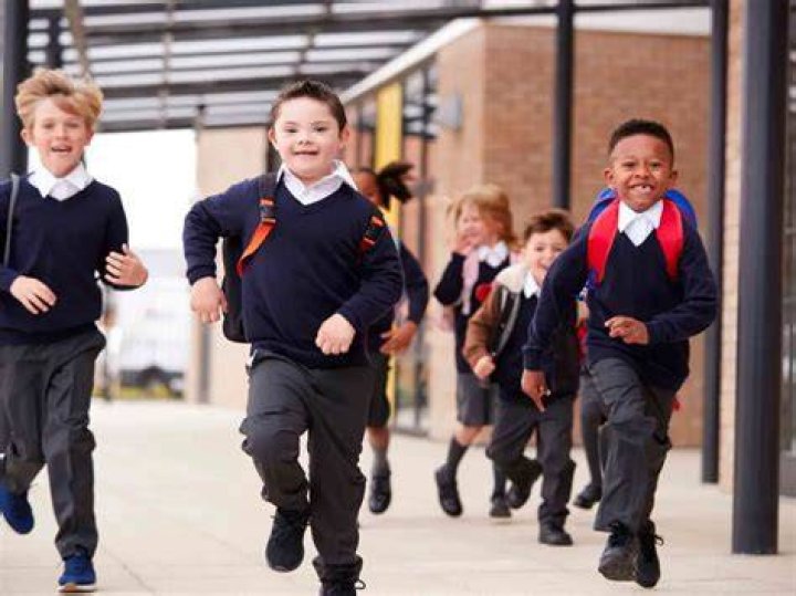 What is the main purpose of school uniforms?