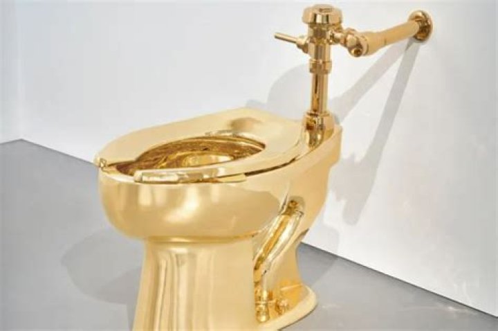 What is the most expensive plunger?