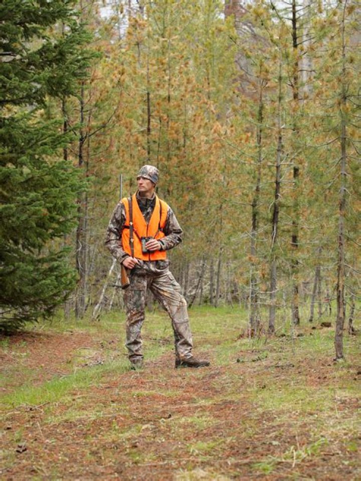What is the purpose of wearing hunter orange clothing?