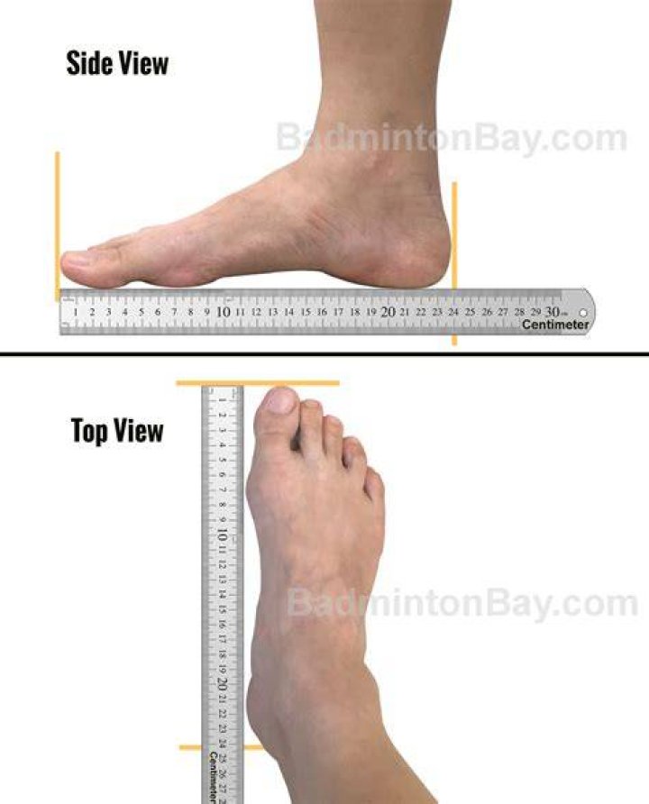 What is the standard length of one foot?