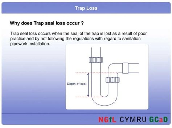 What is trap seal loss?