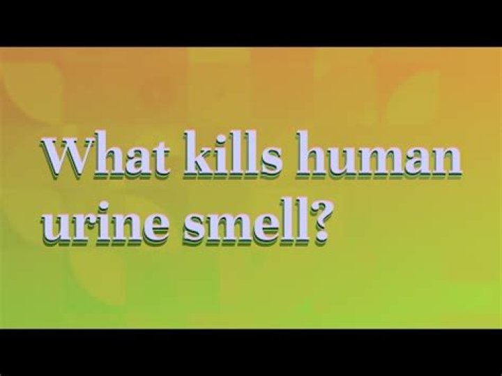 What kills human urine smell?