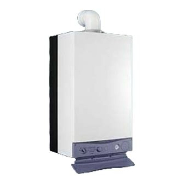 What kind of boiler does Performa 24 Eco he use?
