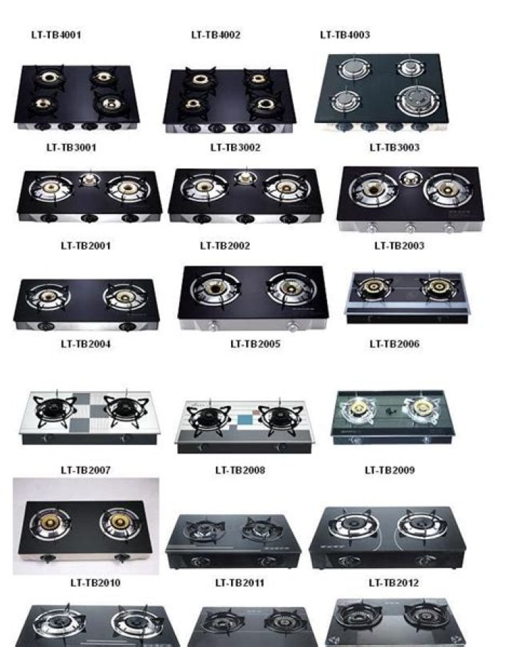 What kind of gas powers stove?