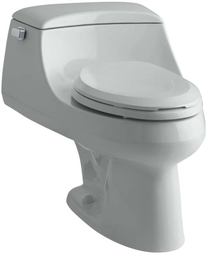 What kind of trip lever does a Kohler one piece toilet use?