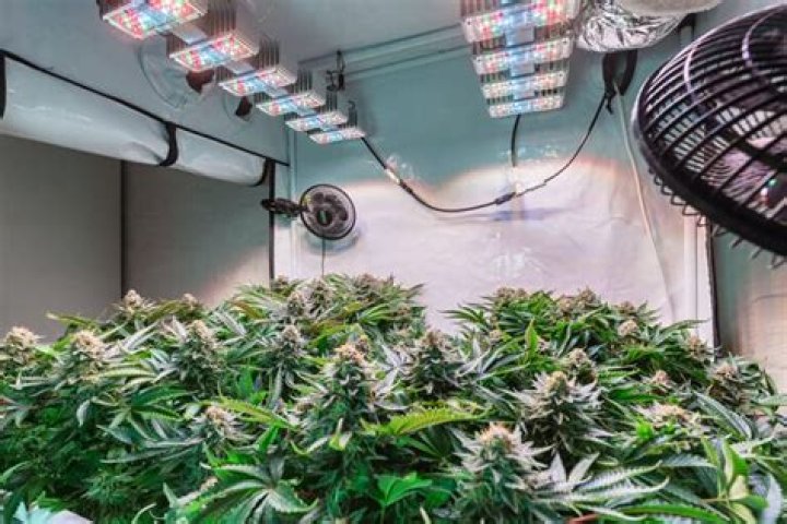 What kind of ventilation do you need for a grow room?