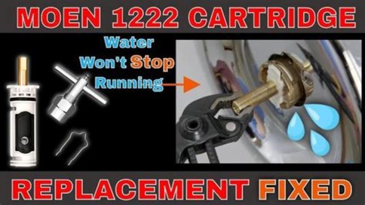What kind of water comes out of a Moen 1222?