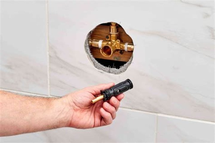 What makes a single handle shower valve leak?