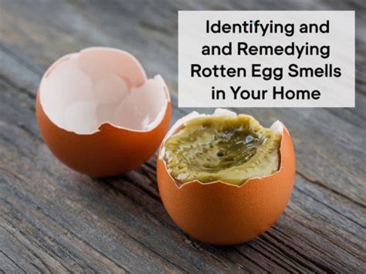 What makes your basement smell like rotten eggs?